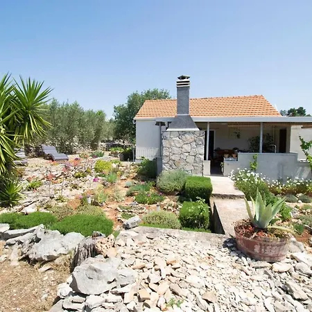 House Roza