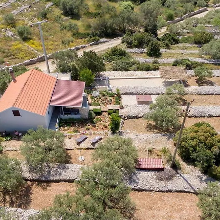 House Roza Holiday home Vela Luka