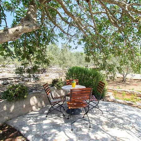 Feriehus House Roza Vela Luka