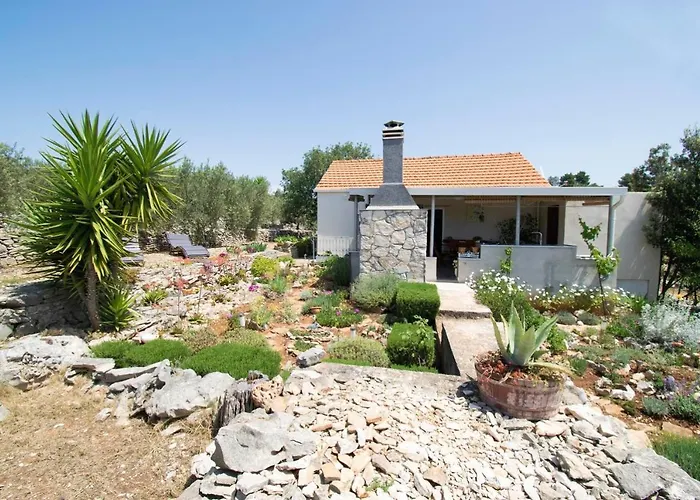 House Roza