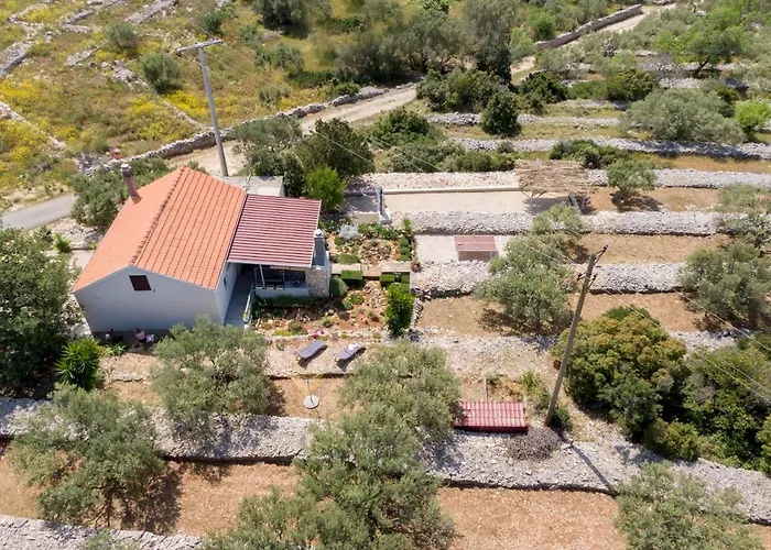 House Roza Holiday home Vela Luka