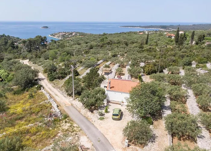 Holiday home House Roza Vela Luka