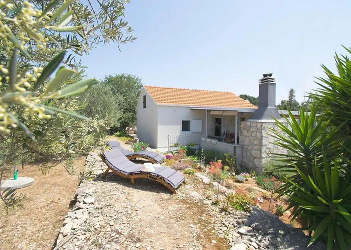 House Roza * Vela Luka