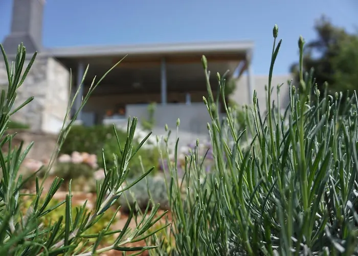 House Roza Holiday home *